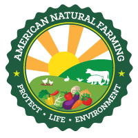 ANF Logo