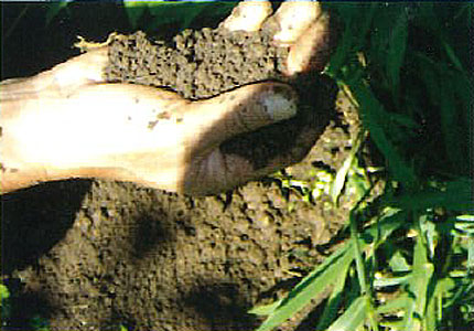 Environment Friendly