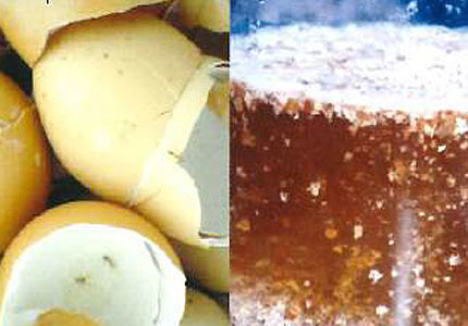 Natural Farming inputs