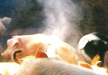 Farming Inputs Are Made by Farmers