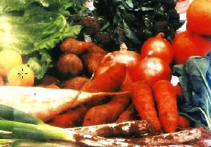 Safe pesticide free